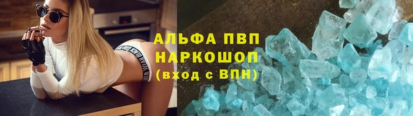 PSILOCYBIN Богородицк