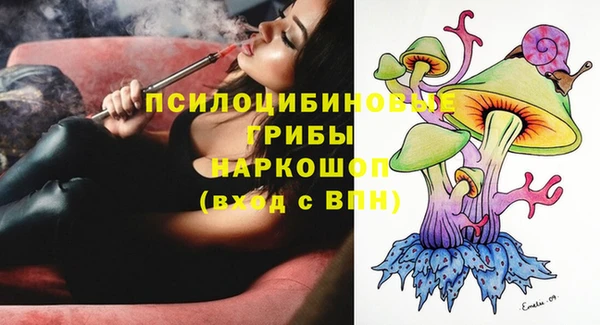 мяу мяу мука Белокуриха