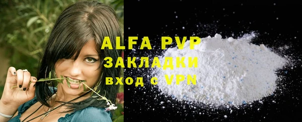 PSILOCYBIN Богородицк