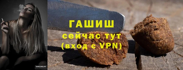 шишки Бородино