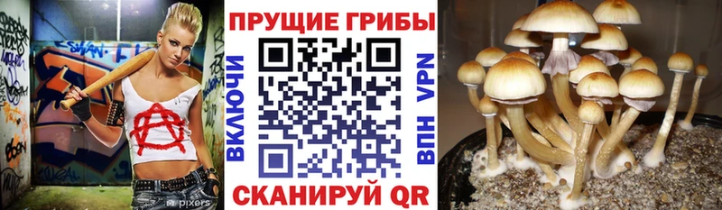 Псилоцибиновые грибы мухоморы  Гай 